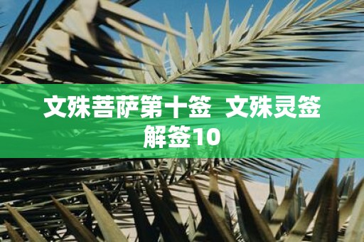 文殊菩萨第十签 文殊灵签解签10