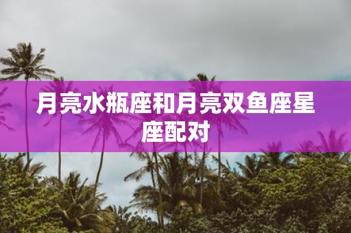 月亮水瓶座和月亮双鱼座星座配对