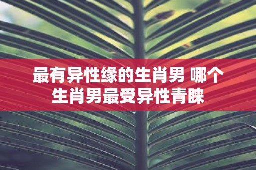 最有异性缘的生肖男 哪个生肖男最受异性青睐