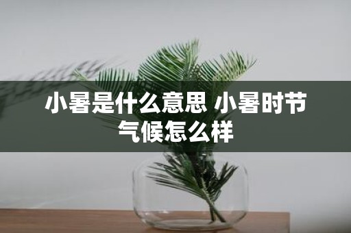 小暑是什么意思 小暑时节气候怎么样