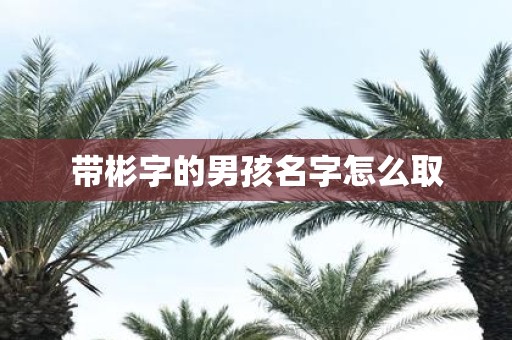 带彬字的男孩名字怎么取
