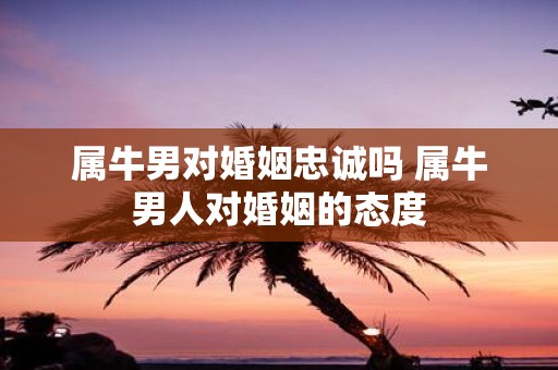 属牛男对婚姻忠诚吗 属牛男人对婚姻的态度