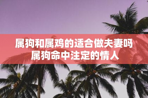 属狗和属鸡的适合做夫妻吗 属狗命中注定的情人