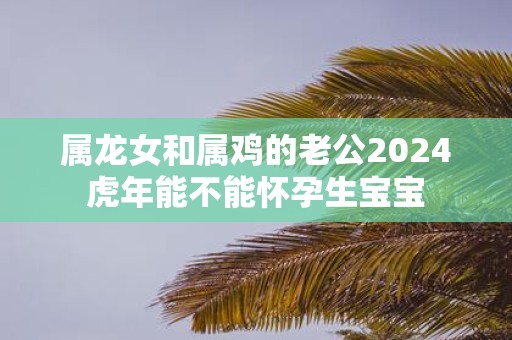 属龙女和属鸡的老公2025虎年能不能怀孕生宝宝