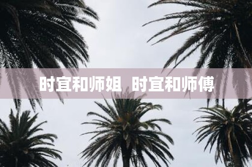 时宜和师姐 时宜和师傅