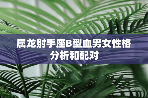 属龙射手座B型血男女性格分析和配对