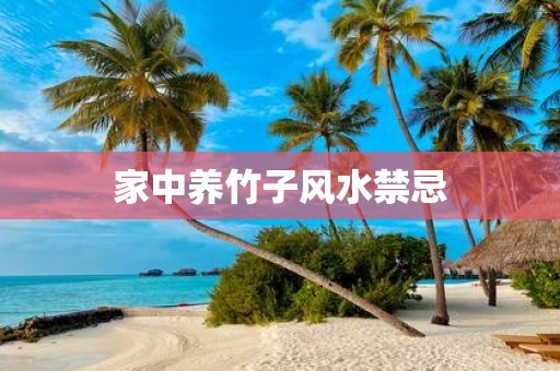 家中养竹子风水禁忌