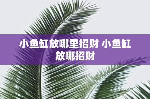 小鱼缸放哪里招财 小鱼缸放哪招财