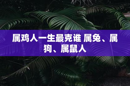 属鸡人一生最克谁 属兔、属狗、属鼠人