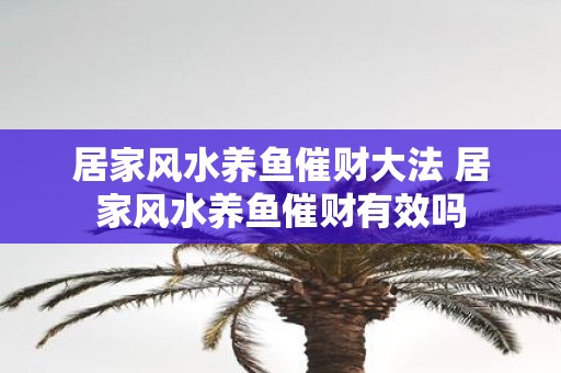 居家风水养鱼催财大法 居家风水养鱼催财有效吗