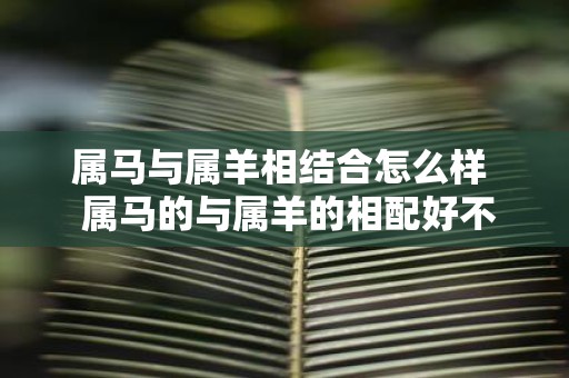 属马与属羊相结合怎么样 属马的与属羊的相配好不好