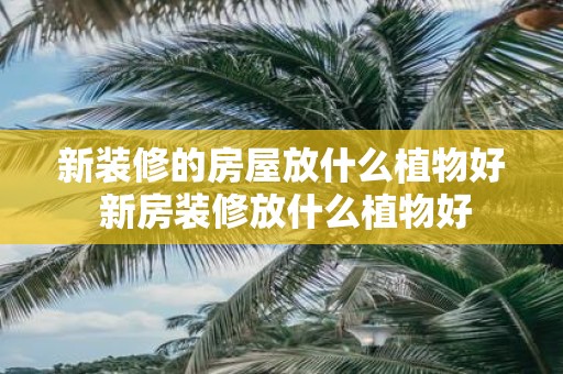 新装修的房屋放什么植物好 新房装修放什么植物好