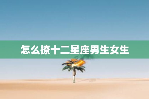 怎么撩十二星座男生女生