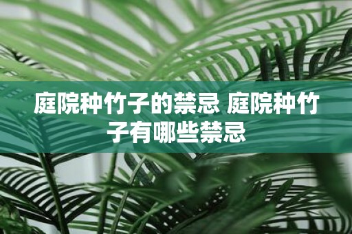 庭院种竹子的禁忌 庭院种竹子有哪些禁忌