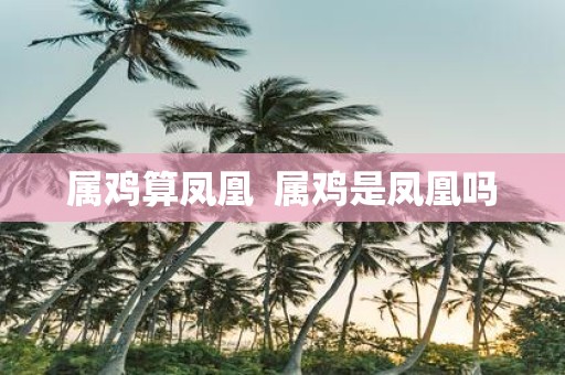 属鸡算凤凰 属鸡是凤凰吗