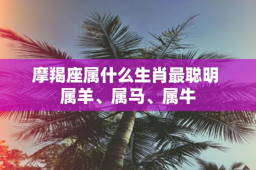 摩羯座属什么生肖最聪明 属羊、属马、属牛