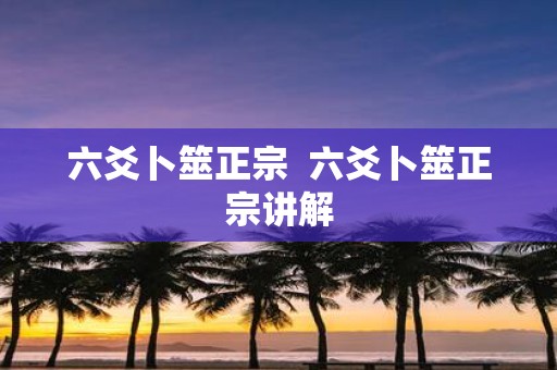 六爻卜筮正宗 六爻卜筮正宗讲解