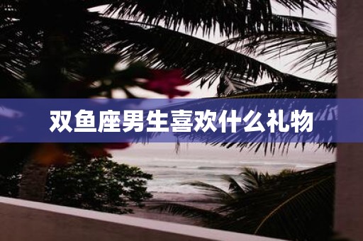 双鱼座男生喜欢什么礼物