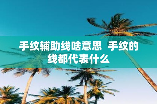 手纹辅助线啥意思 手纹的线都代表什么