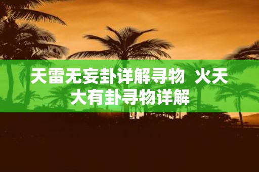 天雷无妄卦详解寻物 火天大有卦寻物详解