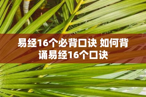 易经16个必背口诀 如何背诵易经16个口诀