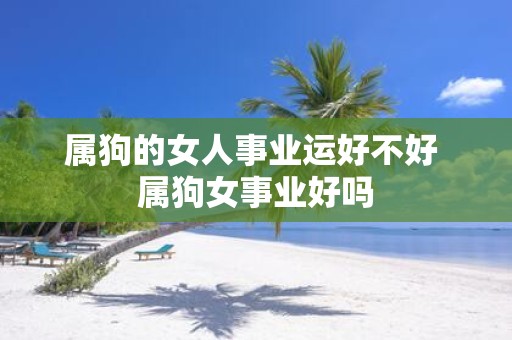 属狗的女人事业运好不好 属狗女事业好吗