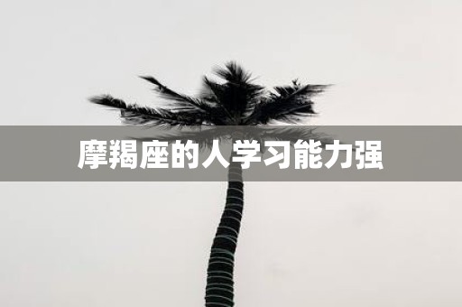 摩羯座的人学习能力强