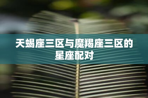 天蝎座三区与魔羯座三区的星座配对
