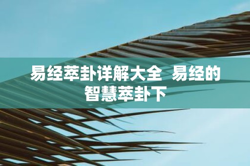 易经萃卦详解大全 易经的智慧萃卦下