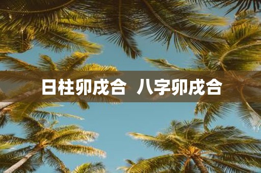 日柱卯戌合 八字卯戌合