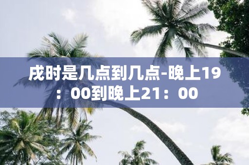 戌时是几点到几点-晚上19：00到晚上21：00