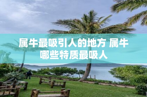 属牛最吸引人的地方 属牛哪些特质最吸人