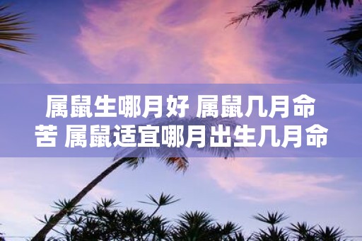 属鼠生哪月好 属鼠几月命苦 属鼠适宜哪月出生几月命运不佳