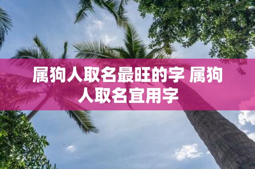 属狗人取名最旺的字 属狗人取名宜用字