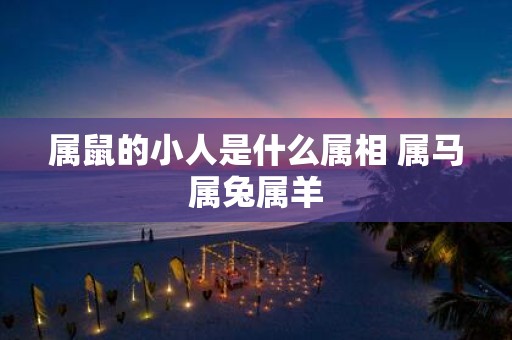 属鼠的小人是什么属相 属马属兔属羊