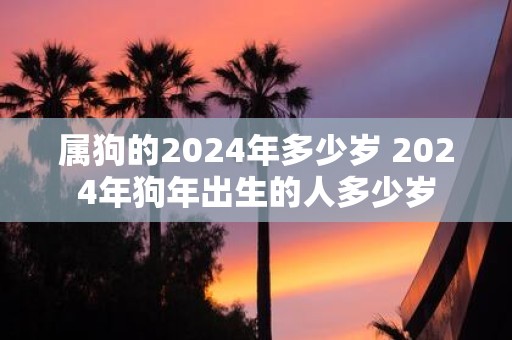 属狗的2025年多少岁 2025年狗年出生的人多少岁