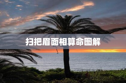 扫把眉面相算命图解