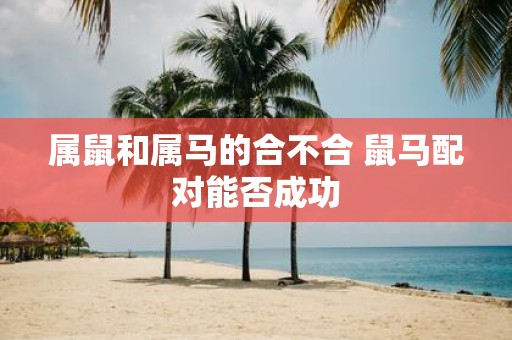 属鼠和属马的合不合 鼠马配对能否成功