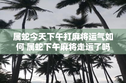 属蛇今天下午打麻将运气如何 属蛇下午麻将走运了吗
