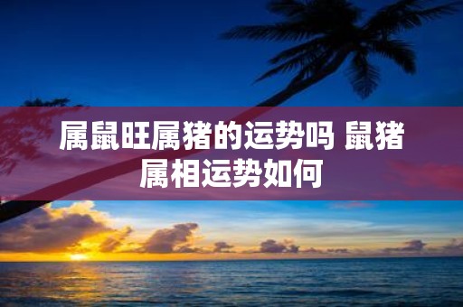 属鼠旺属猪的运势吗 鼠猪属相运势如何
