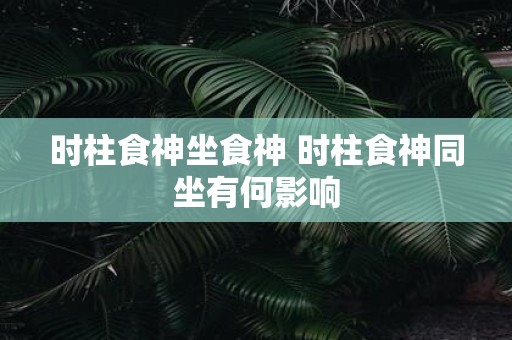 时柱食神坐食神 时柱食神同坐有何影响
