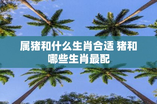 属猪和什么生肖合适 猪和哪些生肖最配