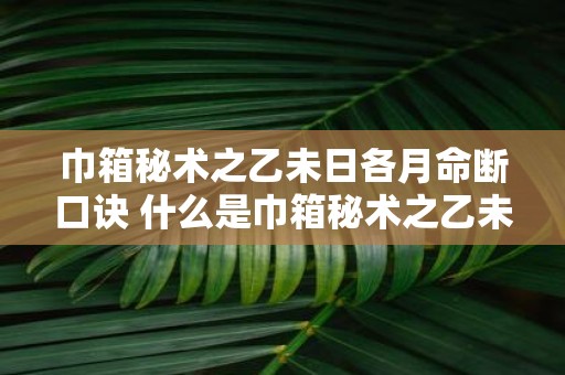 巾箱秘术之乙未日各月命断口诀 什么是巾箱秘术之乙未日各月命断口诀