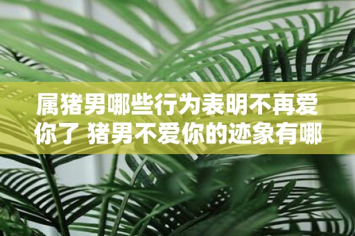属猪男哪些行为表明不再爱你了 猪男不爱你的迹象有哪些