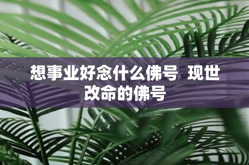 想事业好念什么佛号 现世改命的佛号