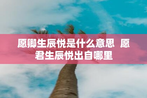 愿卿生辰悦是什么意思 愿君生辰悦出自哪里