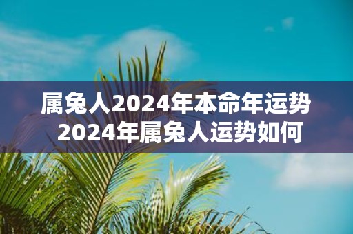 属兔人2025年本命年运势 2025年属兔人运势如何