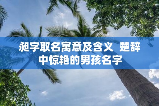 昶字取名寓意及含义 楚辞中惊艳的男孩名字
