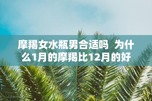 摩羯女水瓶男合适吗 为什么1月的摩羯比12月的好