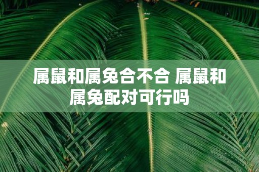 属鼠和属兔合不合 属鼠和属兔配对可行吗